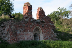 Killikus&reg; Fotographie